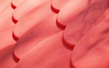 Combe Raleigh plastic roof costs